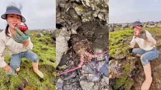 Please watch me fishing for lobsters and crabs #crab #fishing #catching #hunting