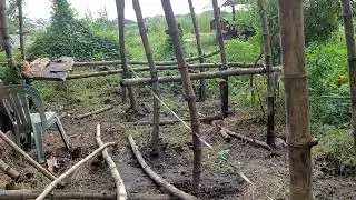 Low Cost Goat House...Low Budget