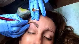 Microblading Eyebrows procedure How-to video