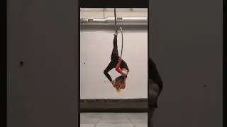 Spider Splits on Lyra