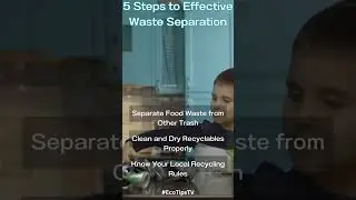 5 steps to effective waste separation #shorts #18 #greenliving #ecotips #lifestyle #sustainability
