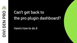 Can't get back to the pro plugin dashboard? - Divi Den Pro