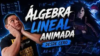 Introducci&oacute;n al &Aacute;lgebra Lineal (Clase COMPLETA y Animada)