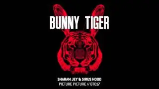 Sharam Jey & Sirus Hood - Picture Picture - Bunny Tiger