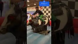 #bullockrace #game#rider #fun