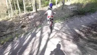 STOUGHTON - DH Kingley vale