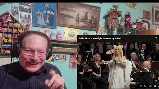 Sailor Moon &ndash; Moonlight Densetsu (Anime Symphony, W&oslash;nder &ndash; singer). A Layman's Reaction