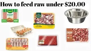 How To Feed Raw For Under $20.00 | How To Buy Raw Dog Food On A Budget