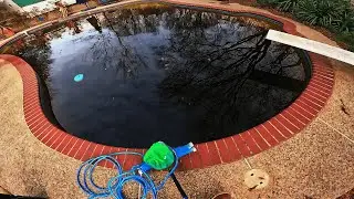 Disgusting pool looks like COFFEE! Amazing Pool Transformation POV