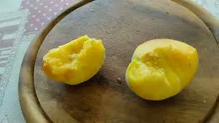 Pesco Francisca 2023 da seme