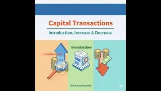 Capital in Accounting Explained | How to Add, Increase & Reduce Capital