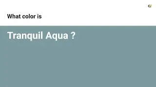 Tranquil Aqua color #7c9aa0 hex color - Blue color - Warm color 7c9aa0