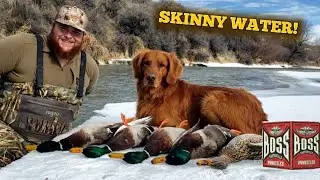 Late Season MALLARDS On A Small Watee Creek! LIMITS!
