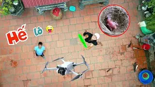 D&ugrave;ng M&aacute;y Bay Đột Nhập Nh&agrave; Anh Em Từ Tr&ecirc;n Kh&ocirc;ng V&agrave; Bất Ngờ - Chim Khuy&ecirc;n Đ&atilde; Nở / Quế Nghịch