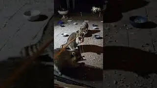 Fishing for Oons!!! Gotta bite!!!