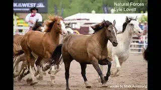 Natural Forces