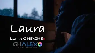 Panasonic GH5/GH5S 4K - GHALex LUT V-Log/Cine-D || 