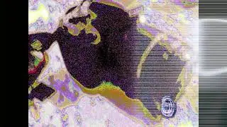 019 Video 