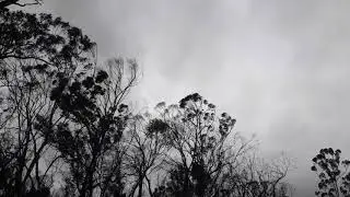 Wild & Windy in Quaama