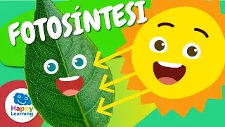 🌱☀️ Quant en saps de la FOTOS&Iacute;NTESI? | V&iacute;deos educatius per a nens en llengua catalana