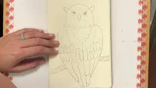 Texture Owl