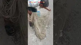 Amazing Fish Catching with Net | জাল দিয়ে মাছ ধরার দৃশ্য 🐟। #youtubeshorts #shorts #fishing #fish