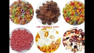 Extruded Breakfast Cereals production line