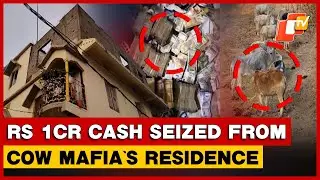 Cash & Assets Worth Crores Recovered After Raid Linked To Cattle Smuggling In Odisha&rsquo;s Bhadrak