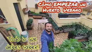 COMO iniciarte en un HUERTO URBANO ,todo lo que debes SABER