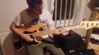 GOT BASS CHOPS !? (Mladenovic Milan)