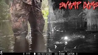 PLACING TRAIL CAMERAS IN FLORIDA'S SWAMPS