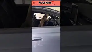 PUPPY DRIVER 😍 #villageworld #automobile #parkingmode