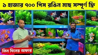 Aquarium Fish Price In Bangladesh 2025🐠Aquarium Fish Price | Aquarium | Aquarium Fish Price In BD🐠