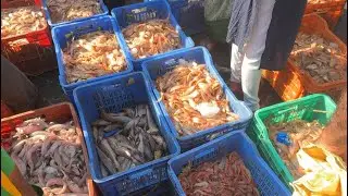 Malad Macchi Market | Malad Fish Market Latest Update 2025 | Mumbai Fish Market Vlog 
