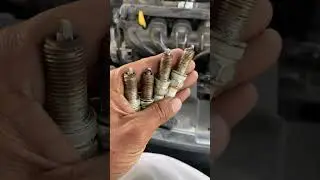 Spark plugs #flute #hyundaiverna #service #youtubeshorts