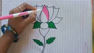 🌹Lotus Flower Drawing Easy || Beautiful Lotus Flower Drawing || Simple Lotus Drawing ||