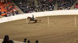 TT REDNECK VEGAS- QH Congress Amateur Poles 2019