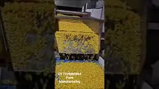 Sweet Corn Frozen Processing Line|IQF Sweet Corn Process #foodfactory #Sweetcorn #foodmanufacturing