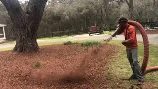 Bella Mulch - Mulch Blowing
