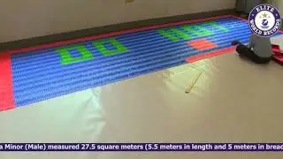 Largest Pen Mosaic by a Minor (Male) - EWR20145295