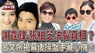 謝霆鋒.張柏芝決裂真相！呂文婉爆幕後操盤手藏心機？【娛樂頭版頭】