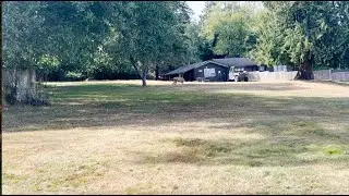 Adventures of Artemis S2E28 Blake Island to Point Defiance/Gig Harbor. Deer on Blake Island!!