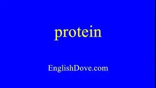 How to pronounce protein in American English.