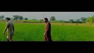 My Village Muzaffargarh