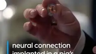 Neuralink: Elon Musk unveils pig with chip in its brain