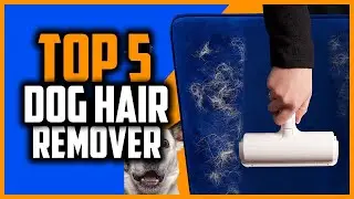 ✅Best Dog Hair Remover in 2024