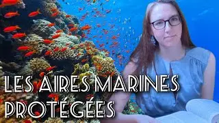 Les aires marines protégées (AMP) - droit de la mer