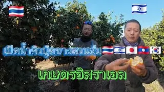 มาเปิดน้ำคิวบู๊ดขางสวนส้ม เก็บเอาไปฝากพี่น้องคนไทยนำกัน #เกษตรอิสราเอล 🇮🇱🇹🇭🇰🇷🇱🇦🇯🇵