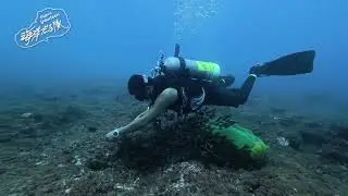 第488次水下清除活動紀錄 大福電廠往龍蝦洞10米 114 12 31
