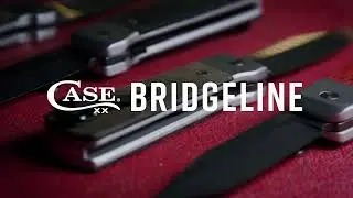 Представляем Bridgeline от Case